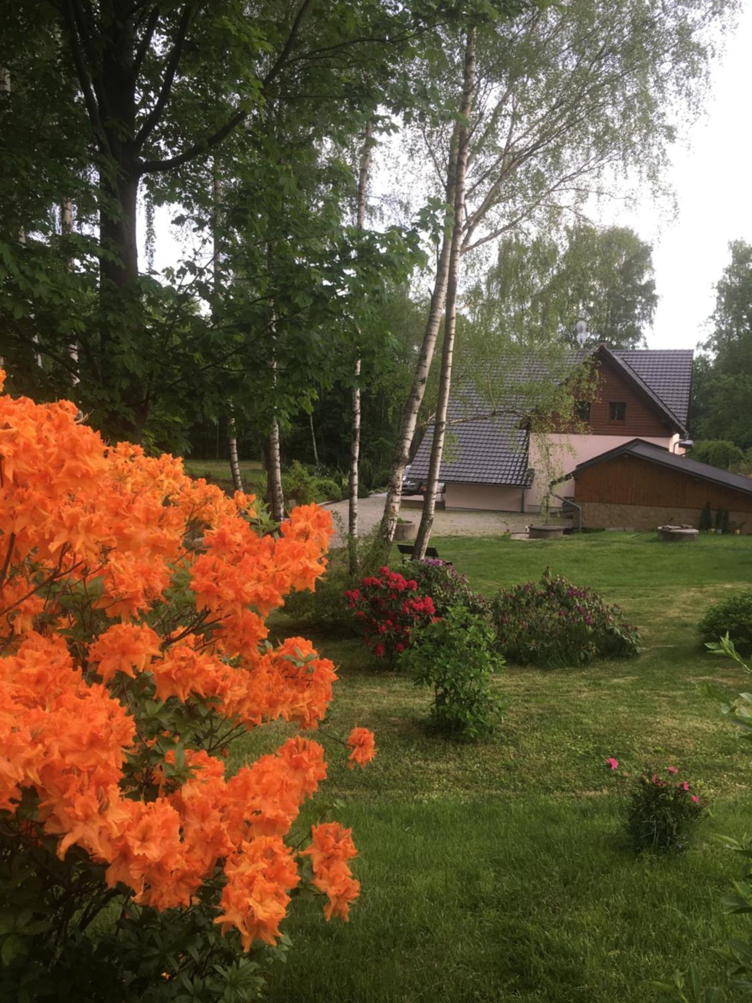 Chalupa Zlate Pisky Nove Krecany Екстериор снимка